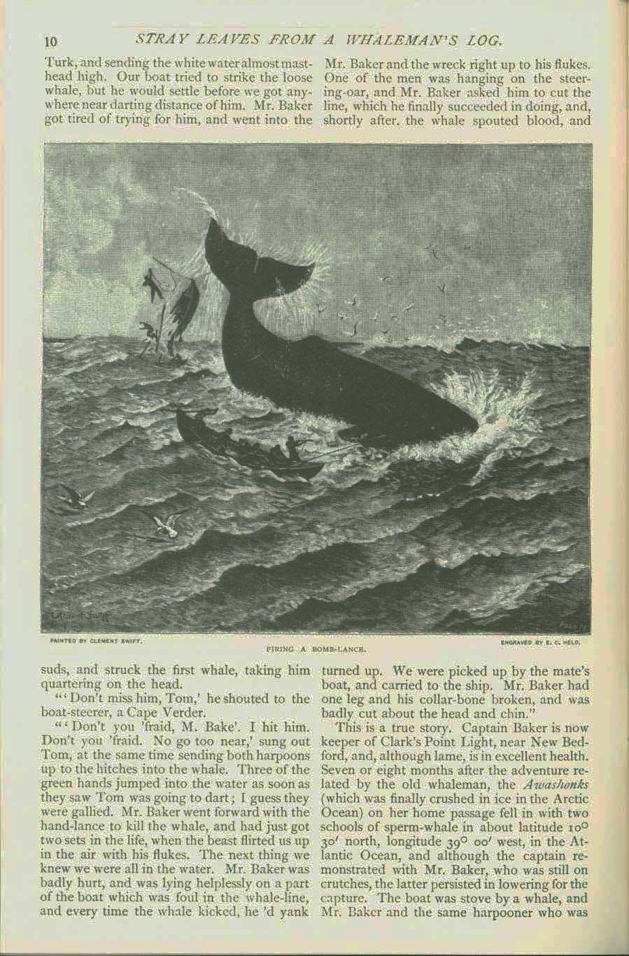 19th century whaling tales. vist0089f